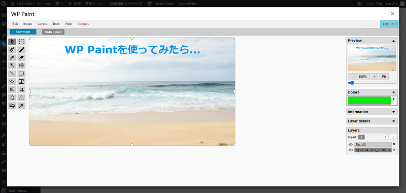 1f3d6c59101dc47822ea21724460bc73 - Wordpress 作業効率化、 画像編集ができるプラグイン「WP Paint」あれこれ